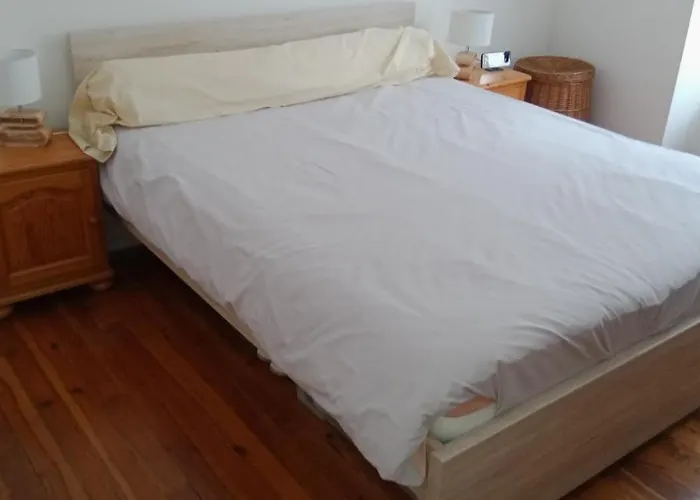 L'isard Пьерфит-Несталас